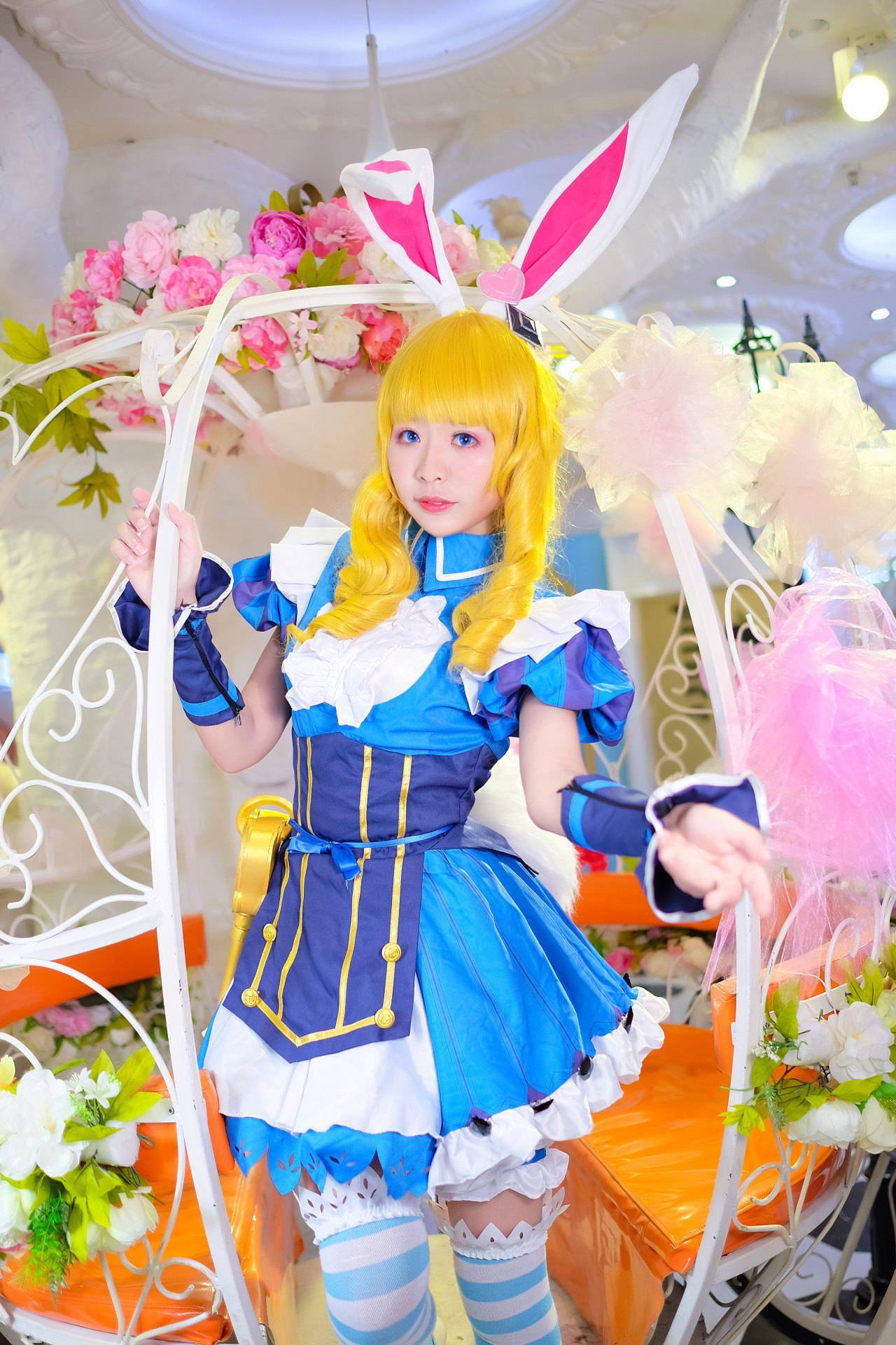 妲己爱丽丝cosplay_手机搜狐网