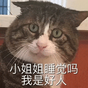 近期抖音热图斗图表情精选
