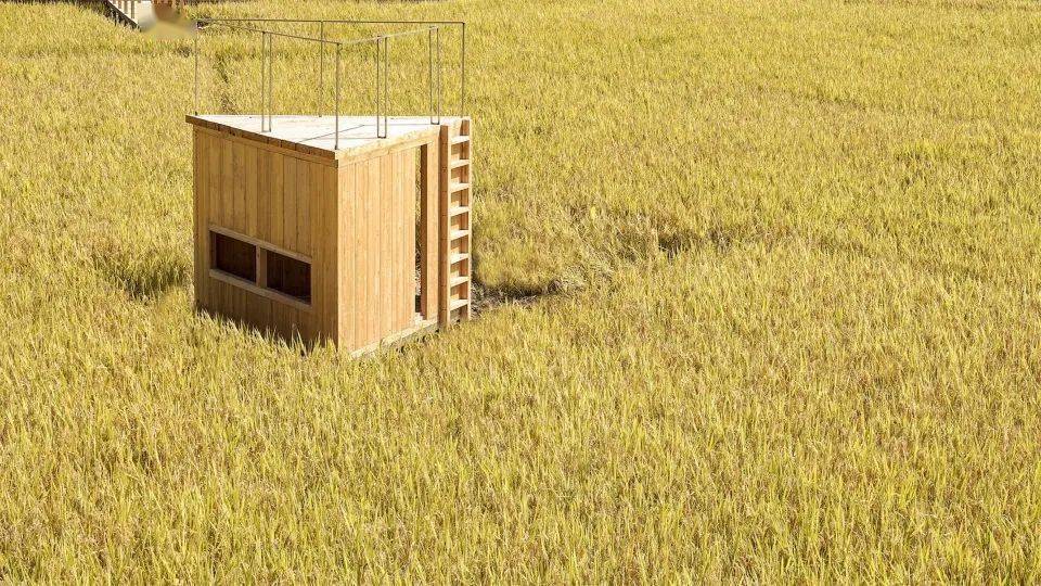 稻田里的城乡共建 - 福建青石寨的稻亭和稻场 / 个个世界 先进建筑