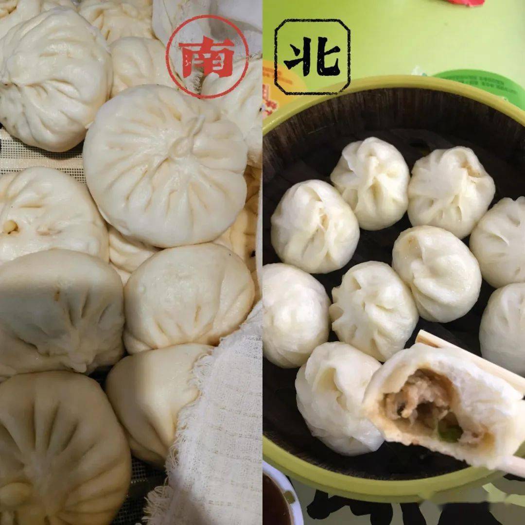 不懂就问:北方的包子,你一顿能吃几个?南方的包子,你一顿能吃几笼?