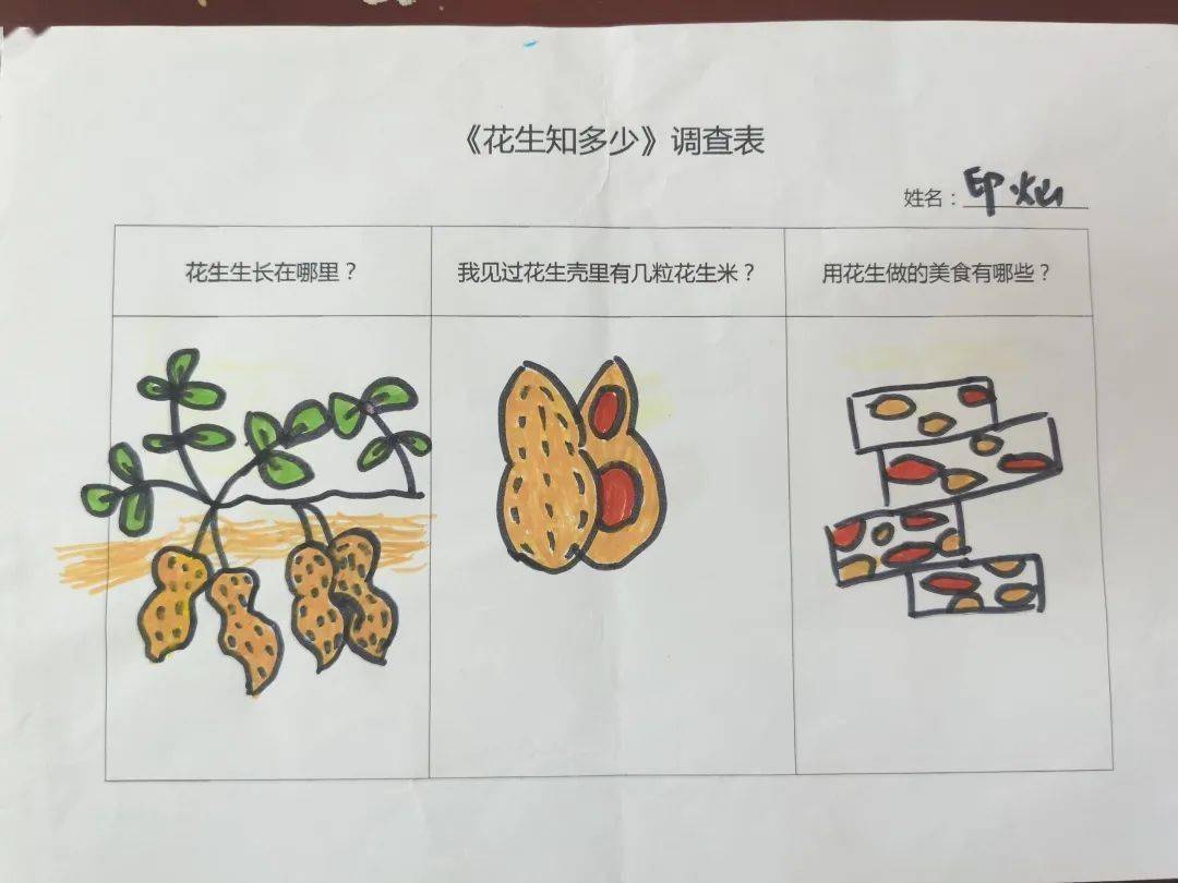 花生小调查查课程思维导图…那花生藏到哪里去了呢?花生肯定藏起