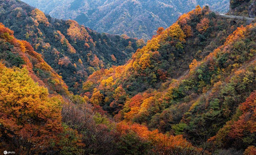 中国红叶第一山四川巴中光雾山漫山红遍层林尽染