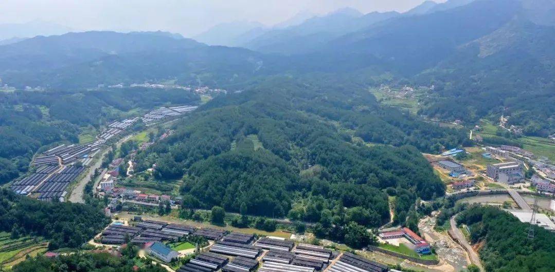 日前,农业农村部发布《2020年全国乡村特色产业十亿镇亿元村名单公示