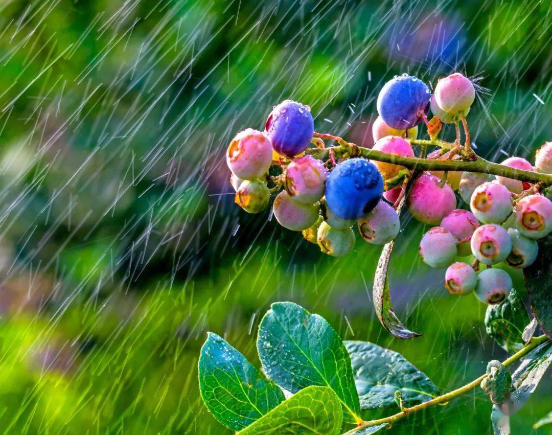 技术| 巧用深色背景突出雨丝_进行