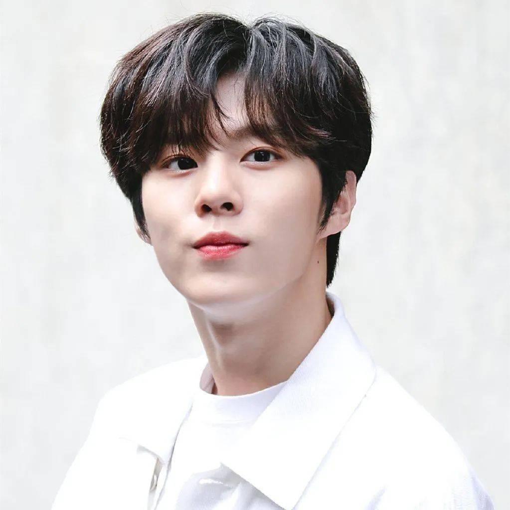 微信头像金宇硕