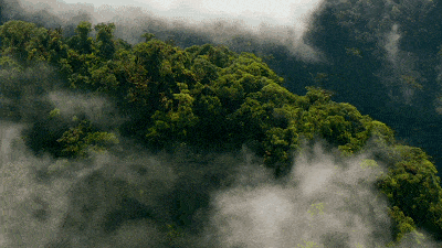 今晚来自大山深处聆听远山的歌谣