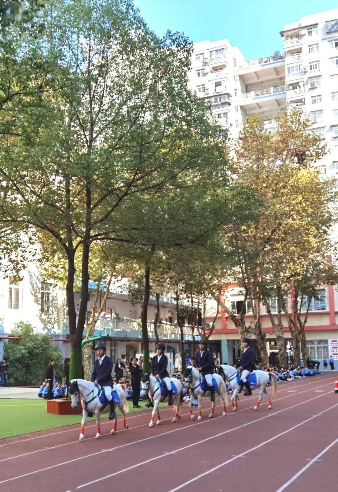 专家组一行抵达学校时恰逢学校马术课,体育馆小学作为武汉市首批"马术