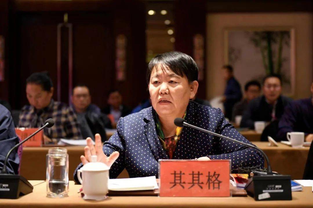 汇报了通辽市京蒙扶贫协作典型经验做法,王荣武,幺永波结合自治区实际