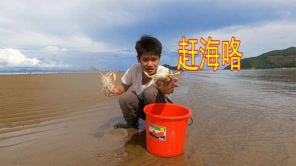 大退潮后的沙滩埋藏着好货小志一路狂捡收获还不错