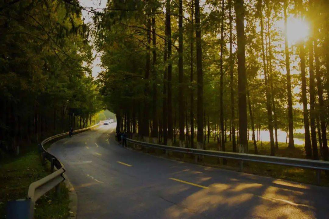 第847期冬天的第一张照片我在塘下公路等你