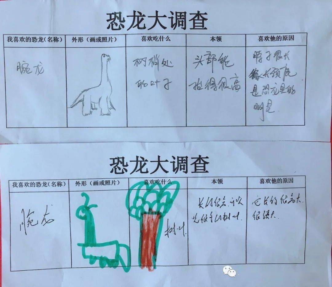 你为什么喜欢它呢?它喜欢吃什么?它有什么本领呢?