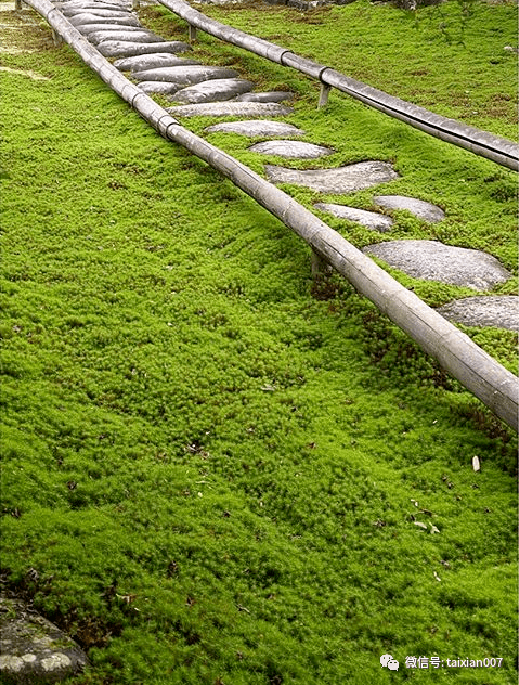 一寸青苔一园禅境