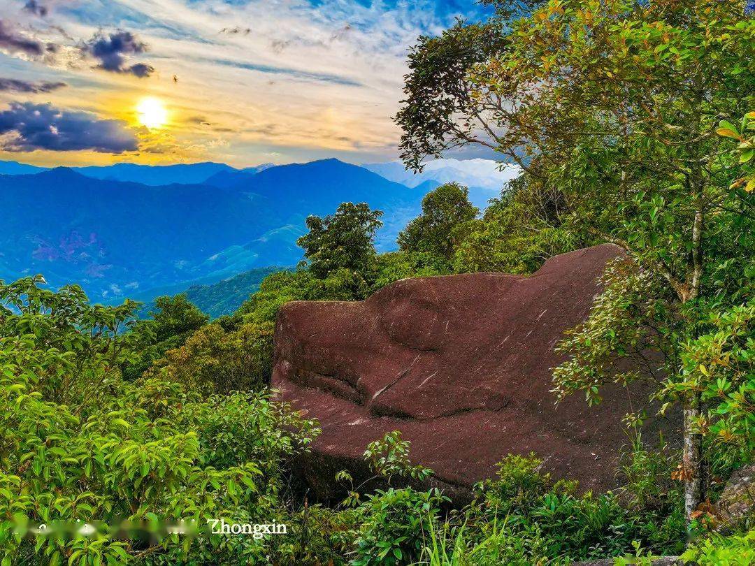 華安已形成全域旅遊新格局,諸多網紅景點,各地遊客爭相