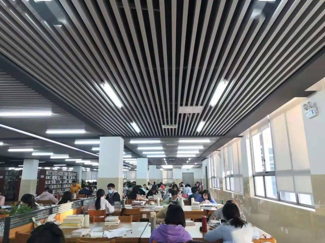 早晨8点多,西园图书馆就已经满满当当了他们中有不少是准备研究生考试