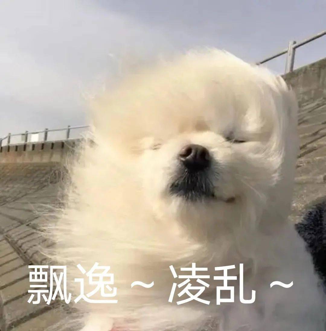 风04好04大04大04大04!