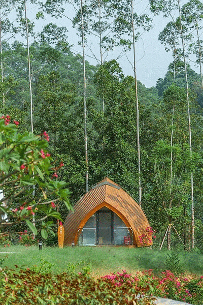 周末去哪儿林间烧烤香醇油茶丛林穿越星空露营广西高峰森林公园与你不