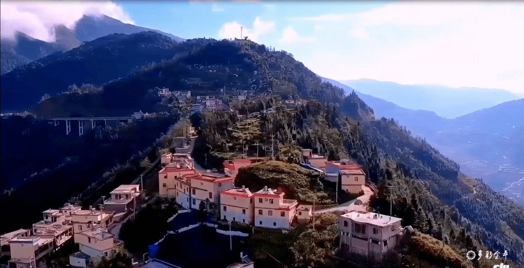 金平做大绿色产业接力乡村振兴