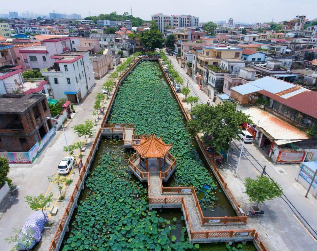 南沙这五个村候选"广州最美村庄",你打卡过哪个?