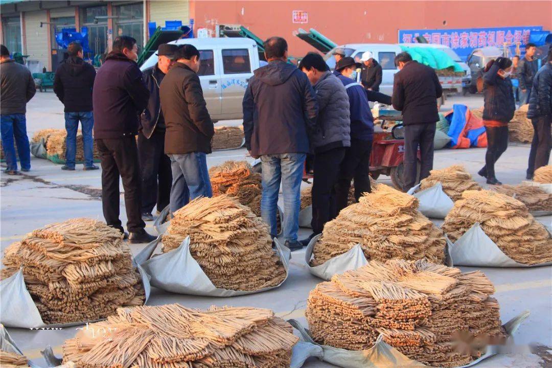 陇西首阳中药材交易市场一撇