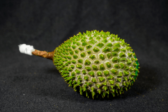 看到猫山王榴莲我啪一下就点进来了很快啊