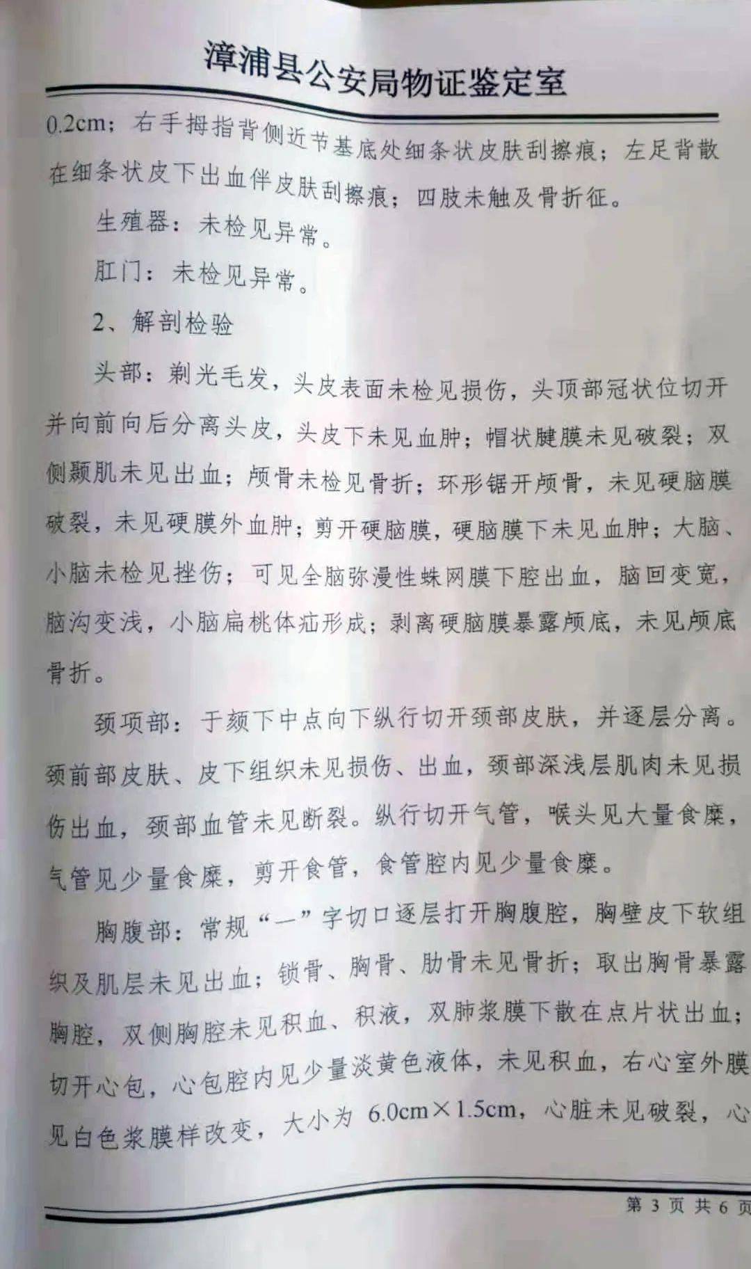 女尸尸检报告图片