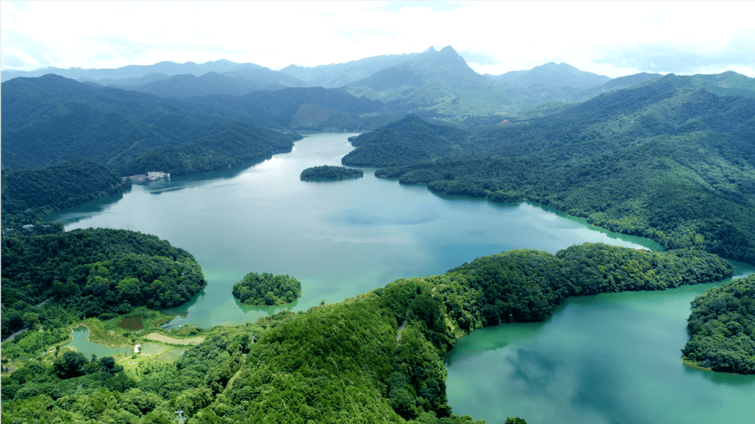 这里是韶关_全市