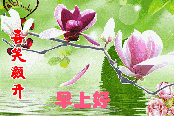 微信朋友圈特漂亮的早上好图片 早上好问候句子