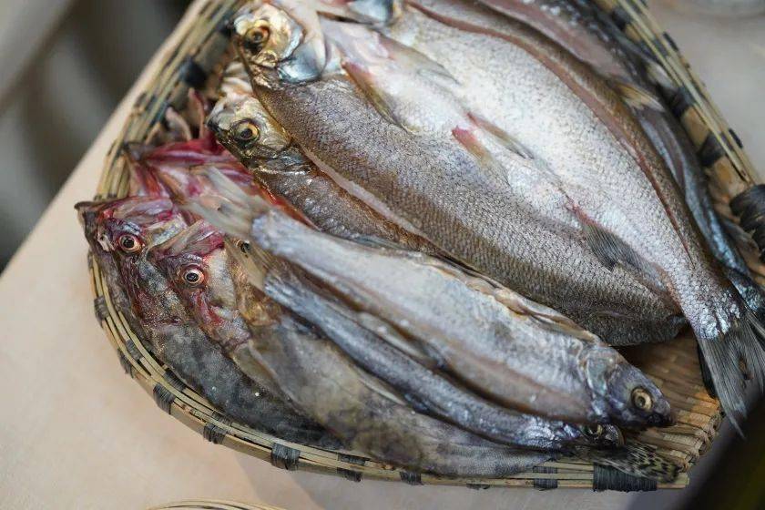 更有肉质鲜嫩的 鳊鱼