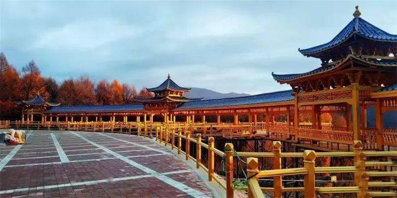 半窗影转斜阳树——环翠公园冬味浓_山县