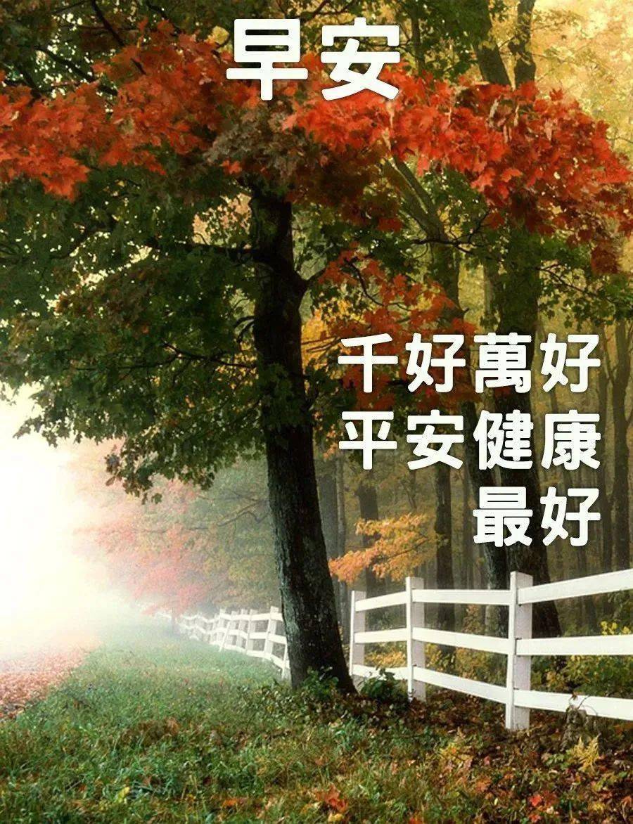 开心早上好问候语夕阳无限好何惧近黄昏