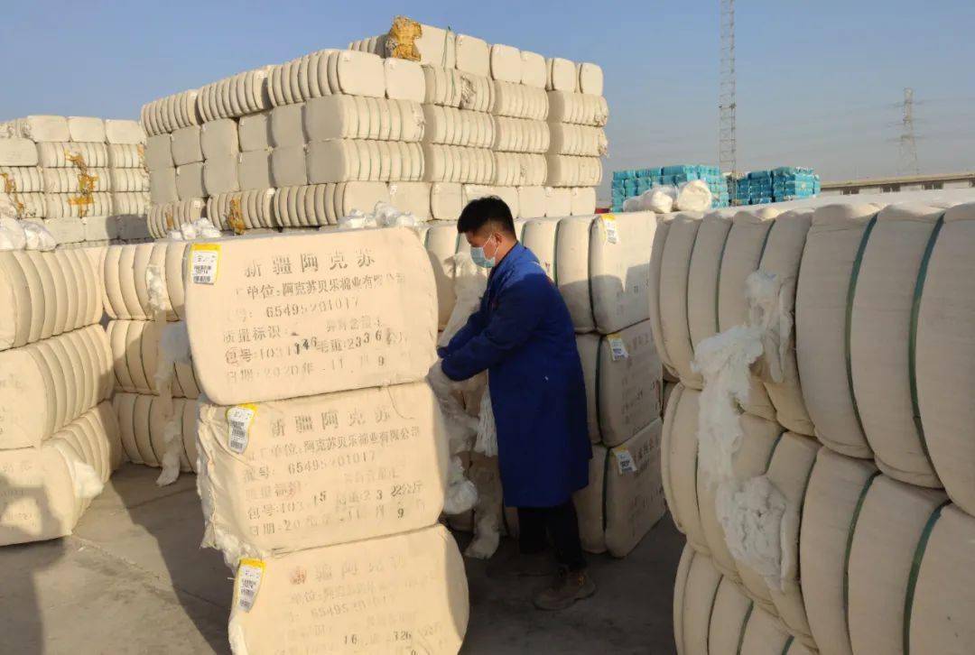 供稿:薛长顺 王朋