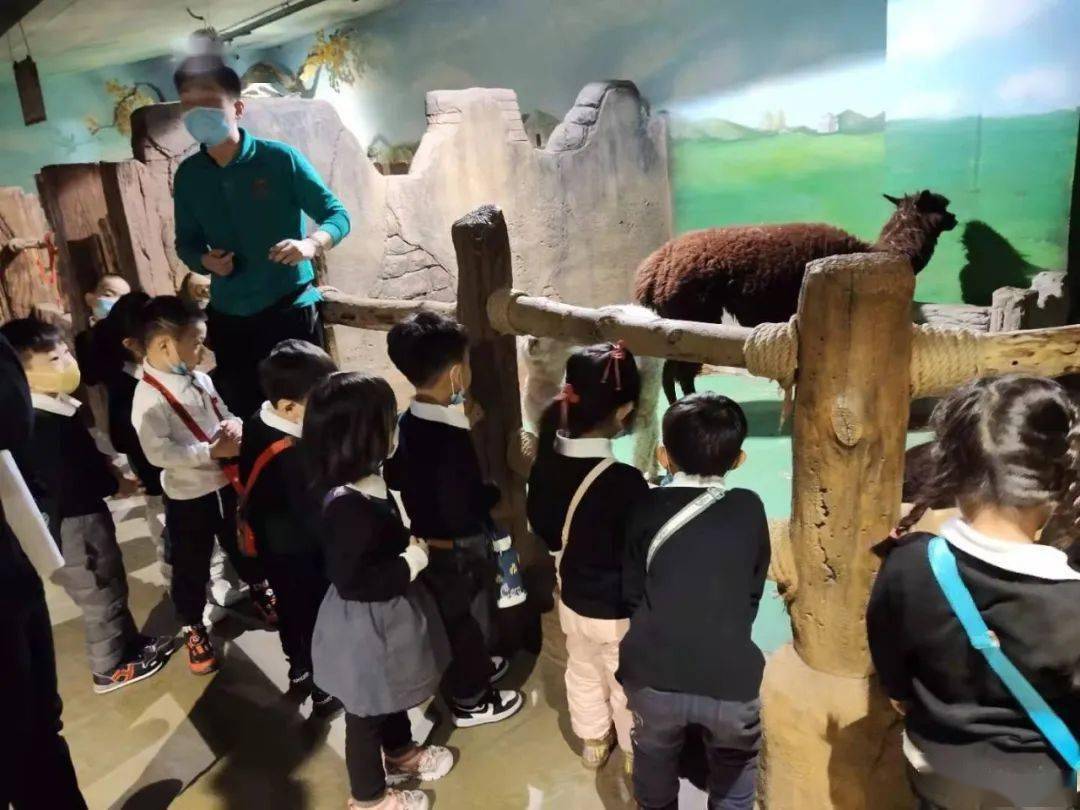 伊顿哈尔滨中海探秘萌宠乐园
