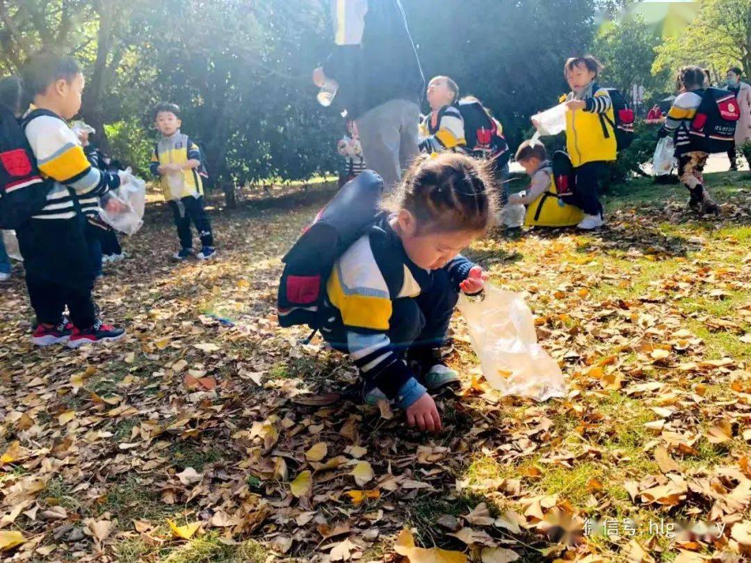 撿樹葉尋秋趣歡樂谷親子幼兒園苗苗班社會實踐活動