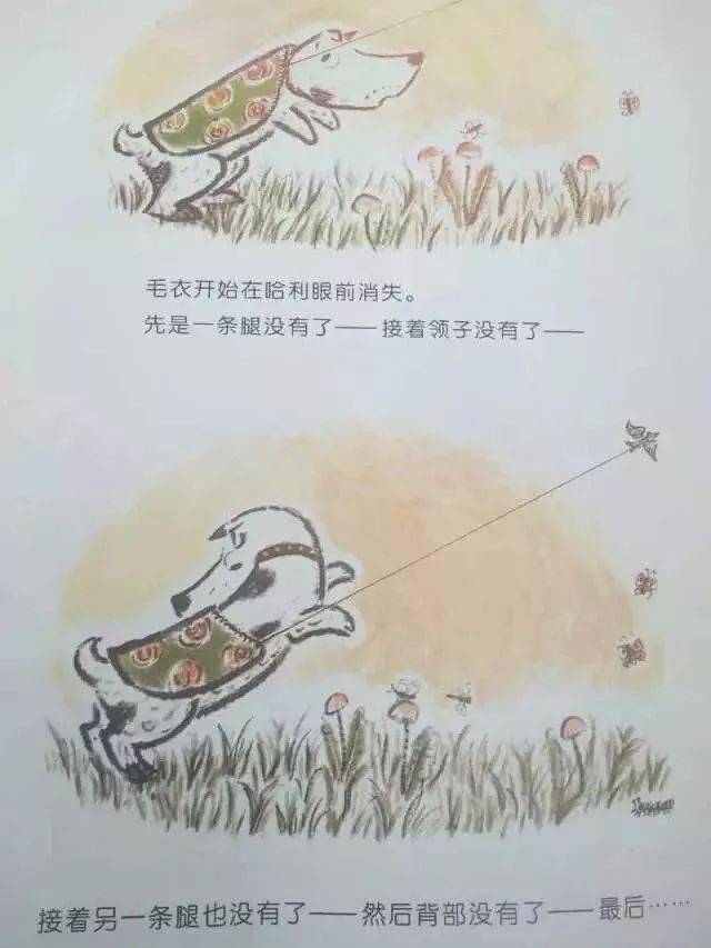 绘本天地哈利的花毛衣