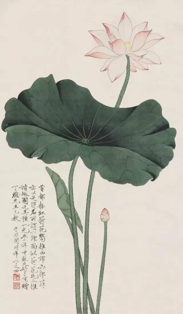 大师于非闇的荷花太美了