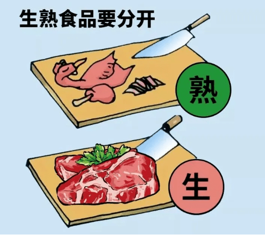 鸡蛋和新鲜果蔬等极容易被其污染,花生酱等商业化食品也存在被污染的