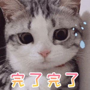 充满灵魂的沙雕表情包