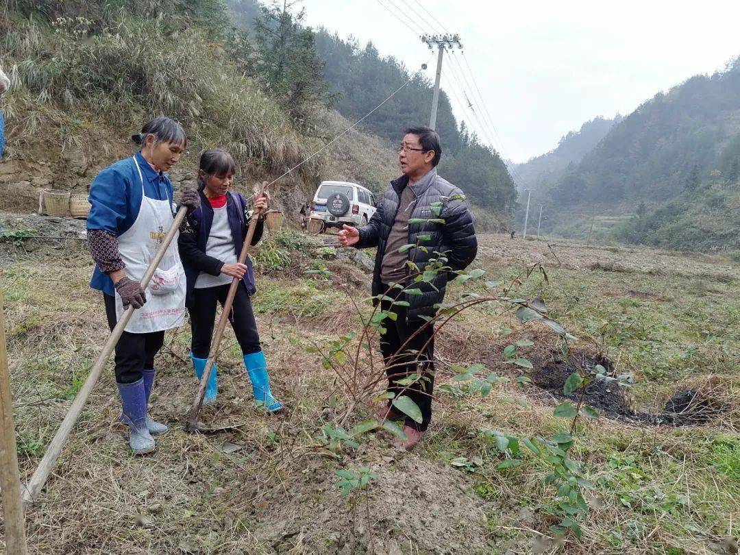 中平乡贵落村医疗扶贫暖人心产业兴旺拔穷根