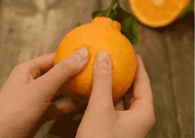 640_452gif 动态图 动图