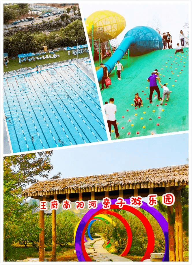 好青年丨情系王府 励志创业——走进青州市"乡村好青年"吕洪强