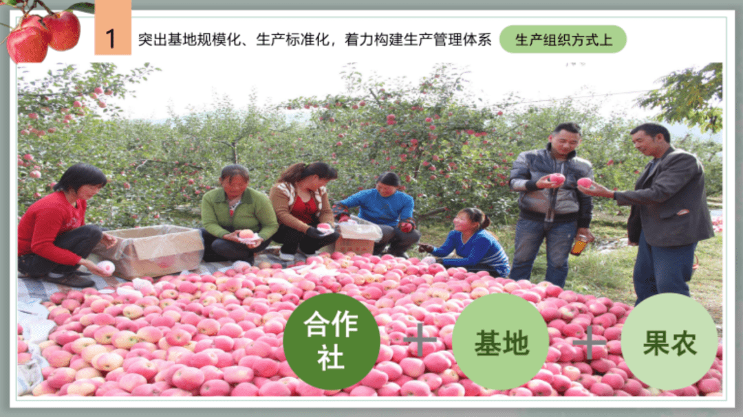 丨2020年度中国苹果产业品牌大会——平凉苹果产业发展介绍_李一宁