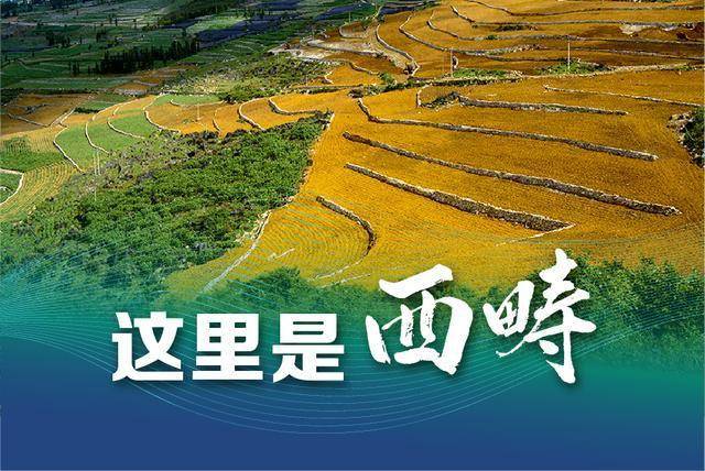 重读重解重用西畴精神丨以西畴精神为魂念好战贫实字诀