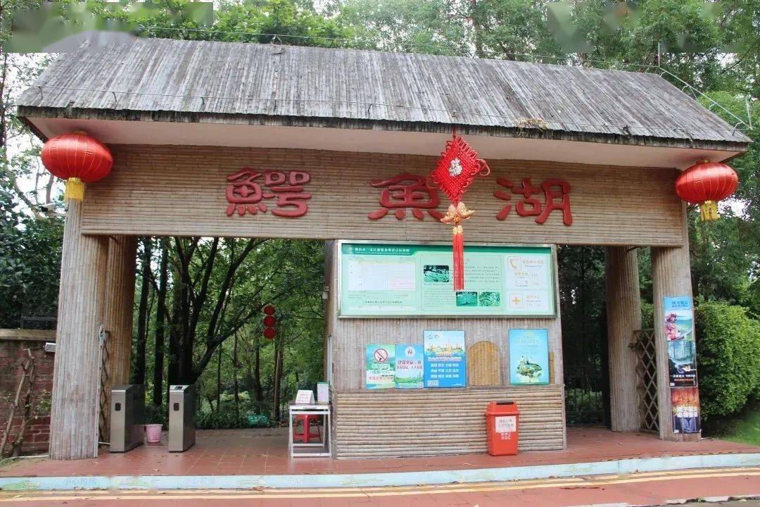 猴子,鸸鹋,鸽子等众多动物一家大小观赏游玩好去处~三水森林公园赛车