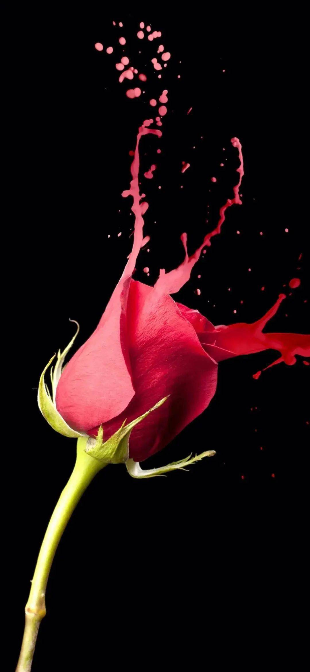 个性手机壁纸图