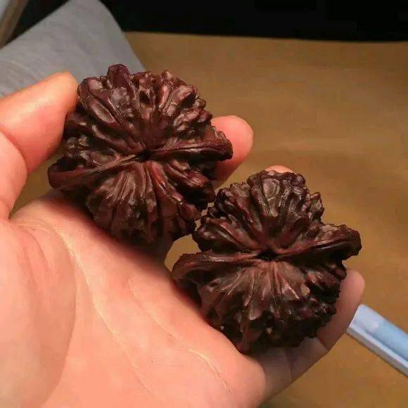 这些黑不溜秋的文玩,像是十几年没刷一样,怎么还会有人喜欢玩?_核桃