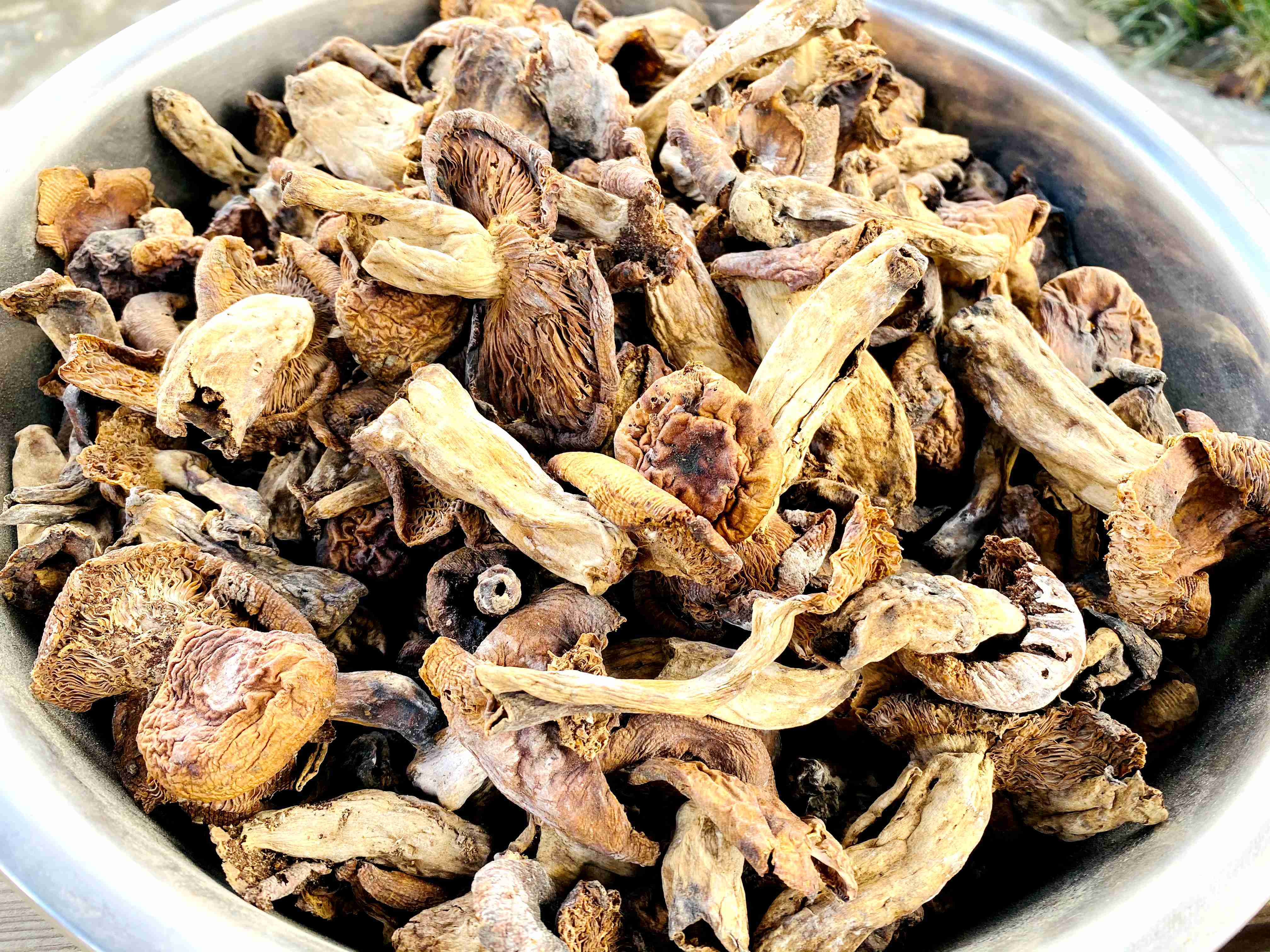 金川县红叶经济红红火火