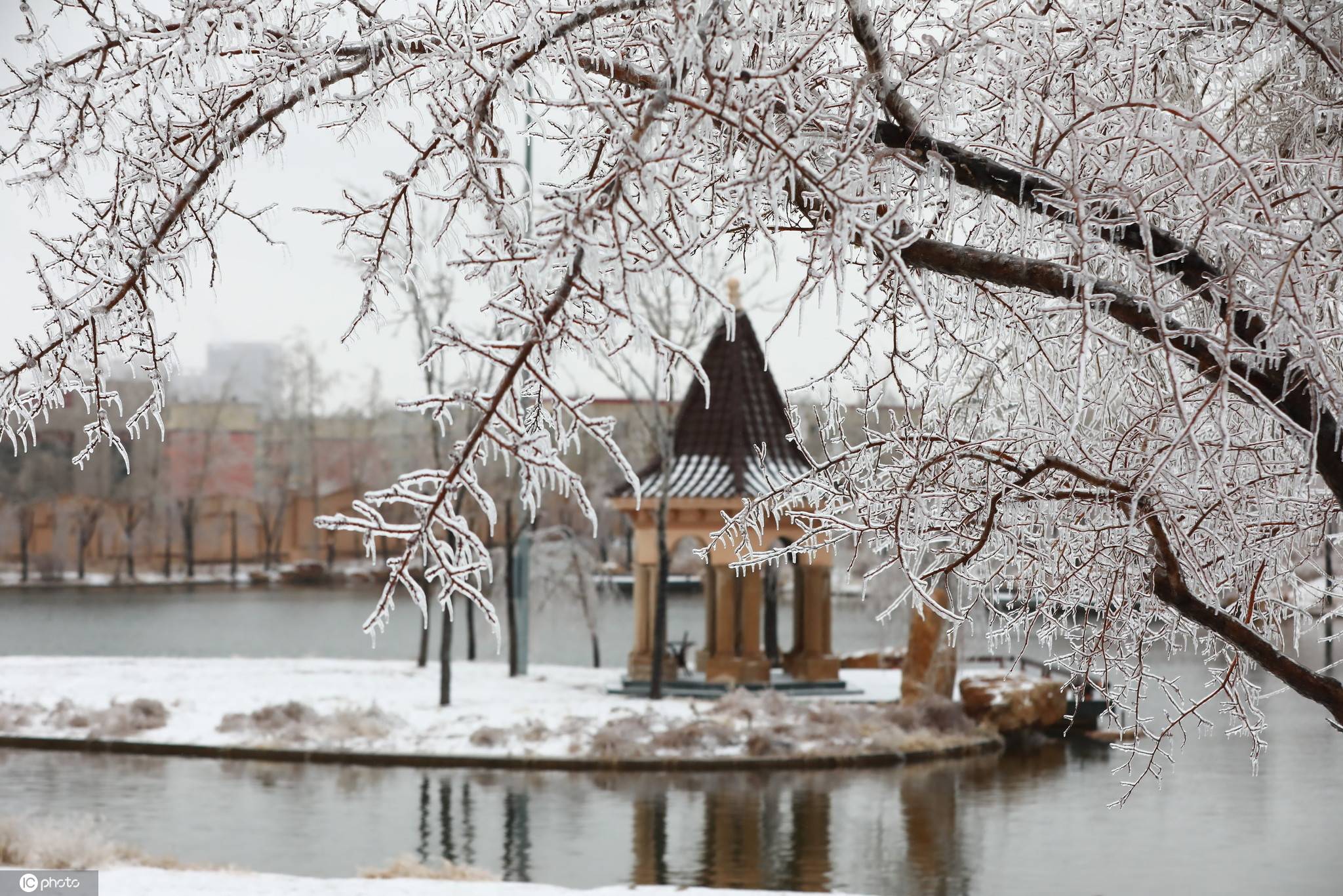 长春雪后图片图片