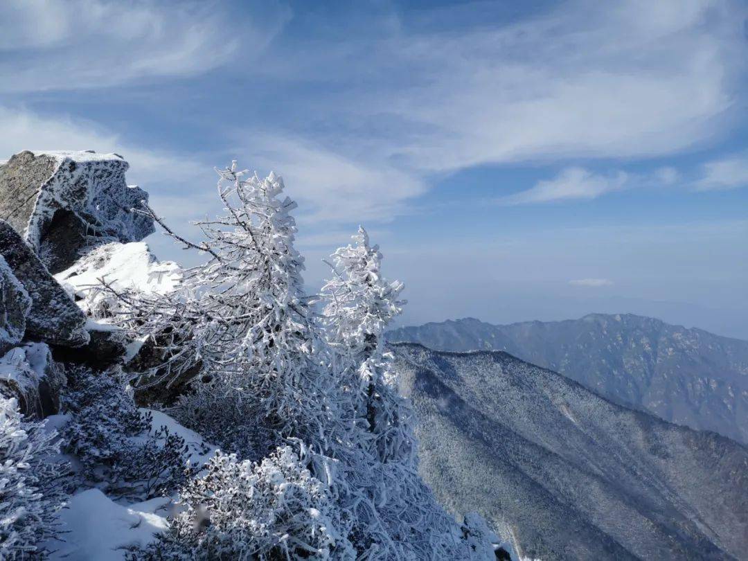 惊艳宝鸡今冬初雪与雾凇不期而遇这两个景区美翻了