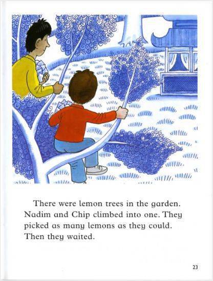 牛津阅读树第四级thewillowpatternplot