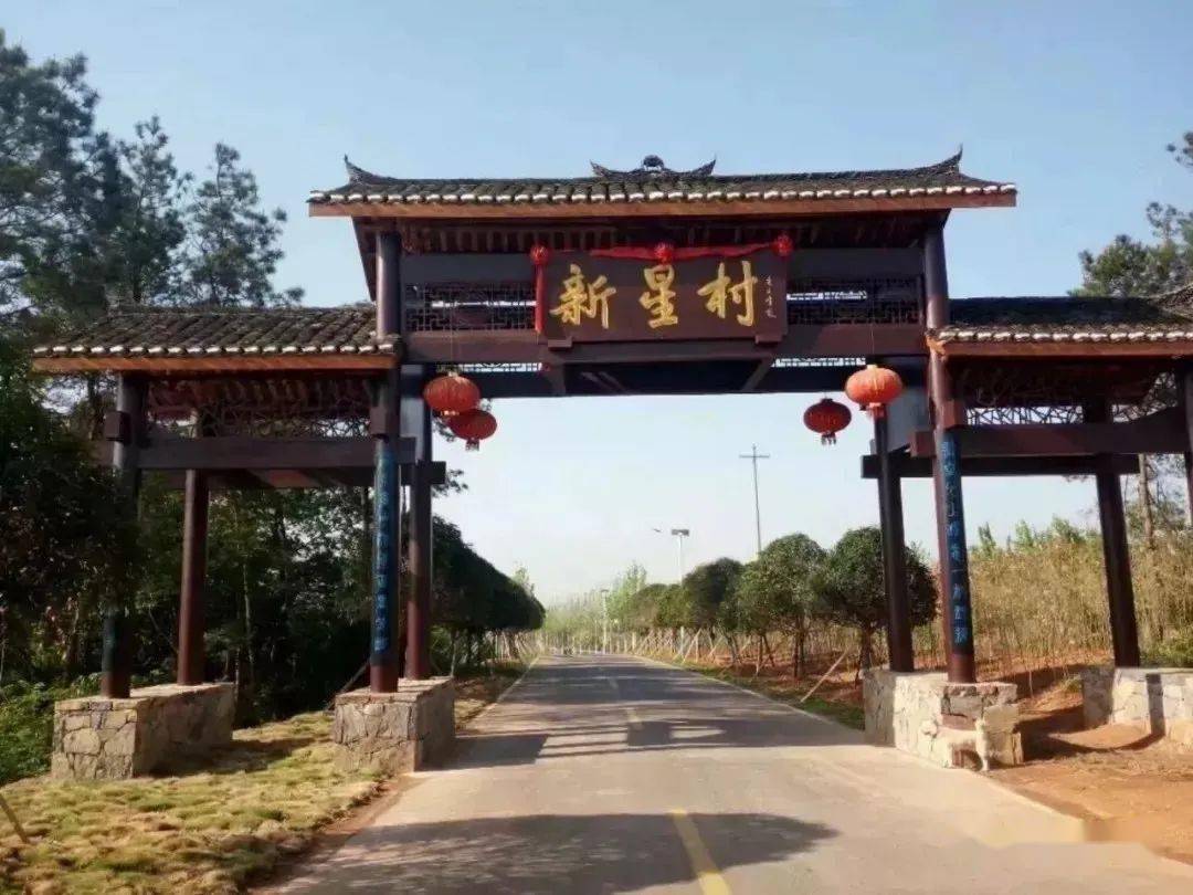 头镇马鞍山村松滋市洈水镇樟木溪村松滋市街河市镇新星村江陵县普济